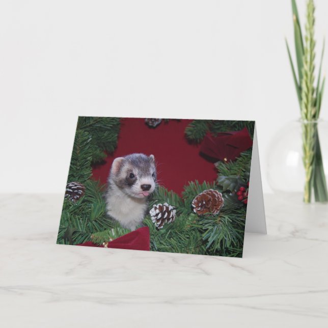 Carte de Noël de furet (Devant)