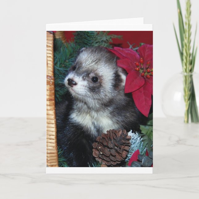Carte de Noël de furet (Devant)