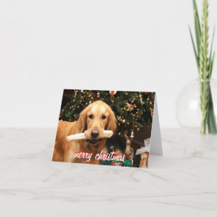 Carte de Noël de golden retriever