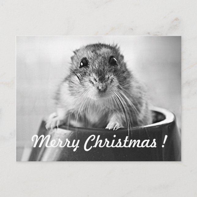 Carte de Noël de hamster (Devant)