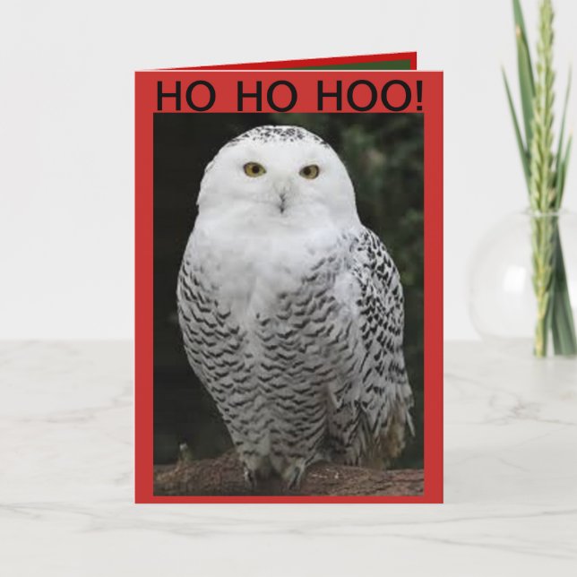Carte de Noël de hibou de Milou (Devant)