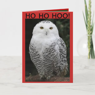 Carte de Noël de hibou de Milou