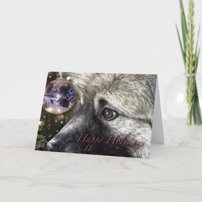 Carte de Noël de Keeshond (Devant)
