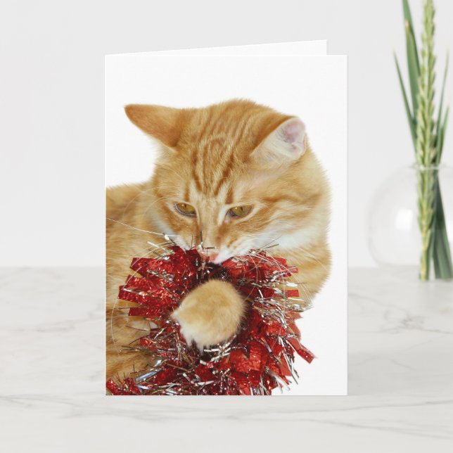 Carte de Noël de Kitty (Devant)