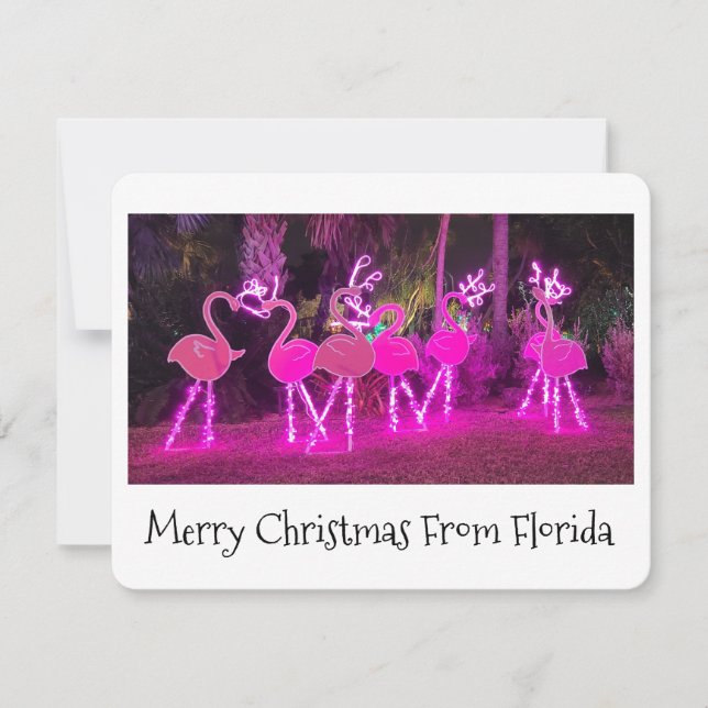 Carte de Noël de la Floride Flamingo (Devant)