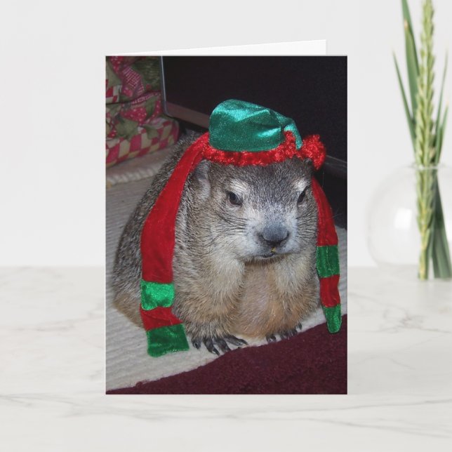 Carte de Noël de la marmotte (Devant)