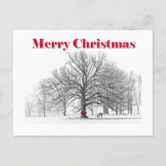 Carte de Noël de la scène d'hiver (carte postale)