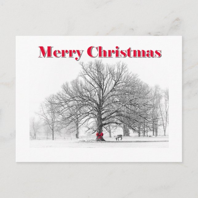 Carte de Noël de la scène d'hiver (carte postale) (Devant)