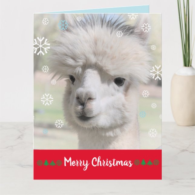 Carte de Noël de l'alpaca enneigé Joyeux Noël (Devant)