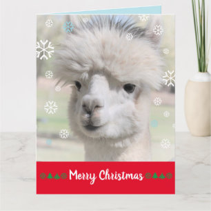 Carte de Noël de l'alpaca enneigé Joyeux Noël