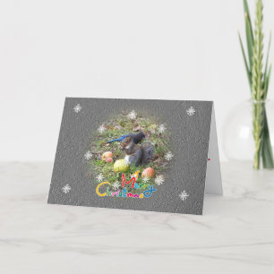 Carte de Noël de l'ami écureuil et Steller Jay