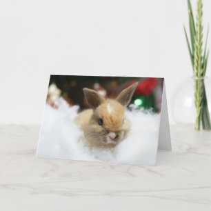 Carte de Noël de lapin de bébé de MHRR Honeybadger