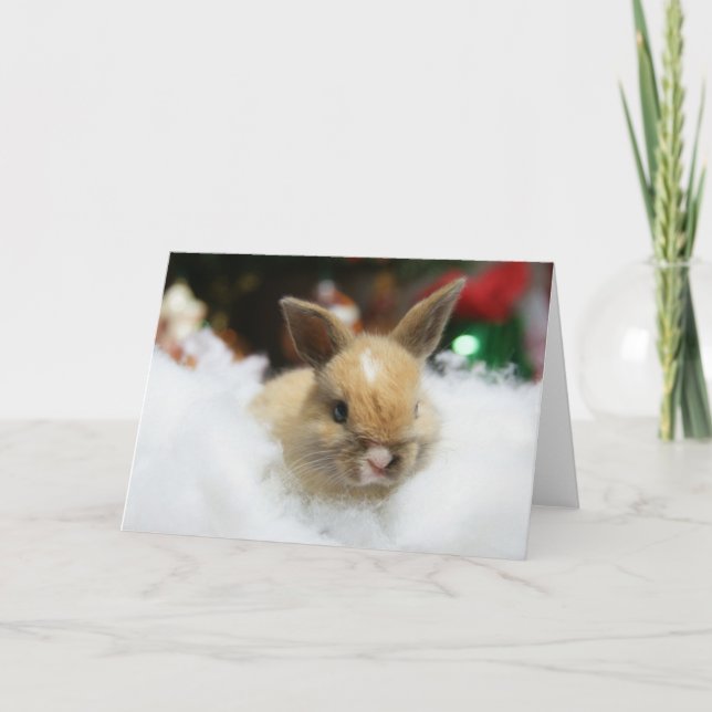 Carte de Noël de lapin de bébé de MHRR Honeybadger (Devant)