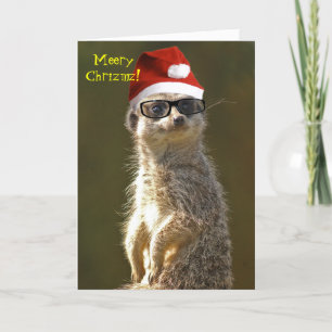 Carte de Noël de Meerkat