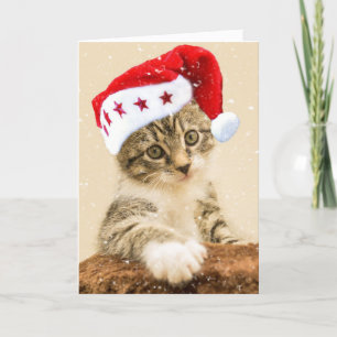 CARTE DE NOËL DE MEOWY MEOWY TABBY CAT
