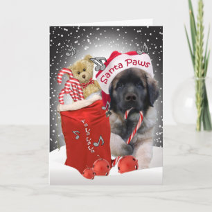 Carte de Noël de pattes de Leonberger Père Noël