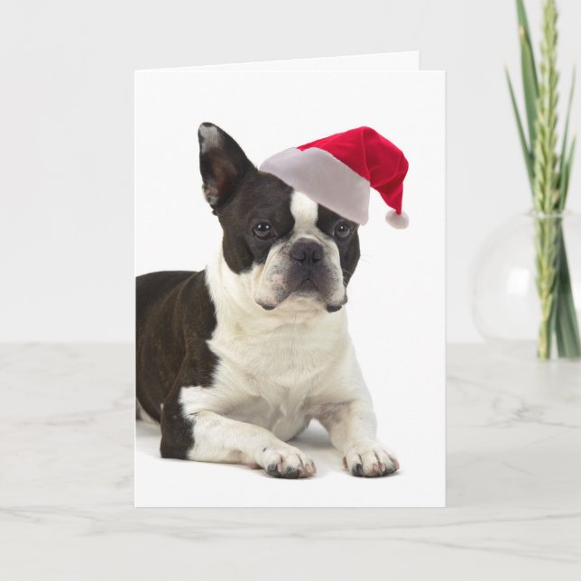 Carte de Noël de Père Noël Boston Terrier (Devant)