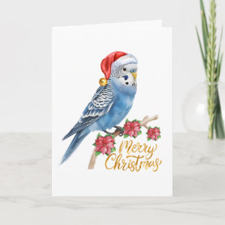 Carte de Noël de perruche