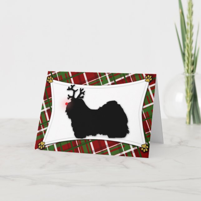 Carte de Noël de renne de Havanese (Devant)