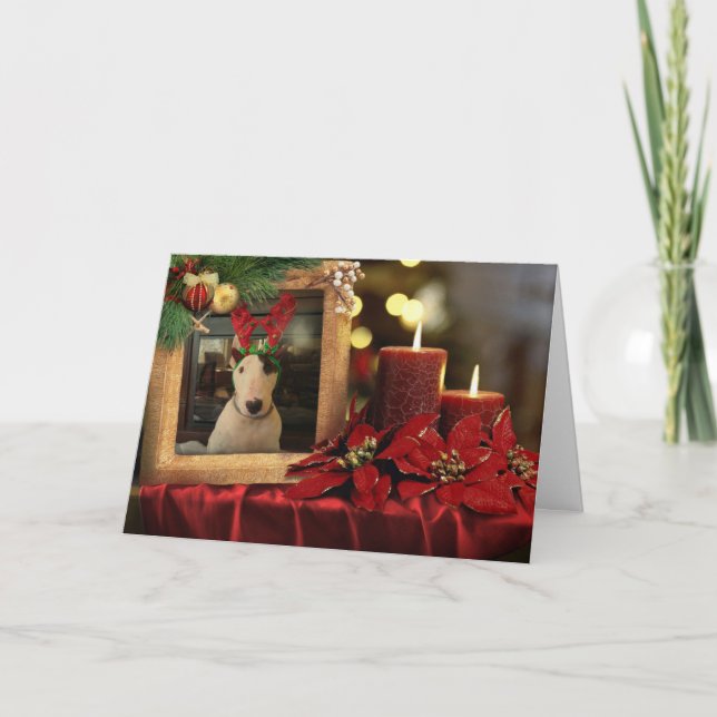 Carte de Noël de Rex, bougies et poinsettia (Devant)