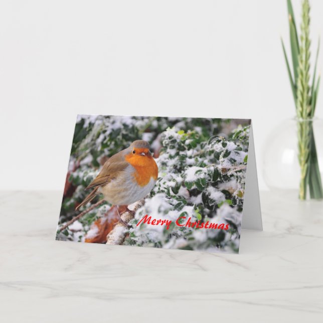 Carte de Noël de rouge-gorge (Devant)
