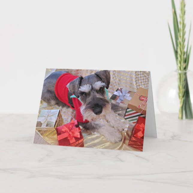 Carte de Noël de Santa Schnauzer (Devant)