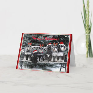 Carte de Noël de Schnauzer