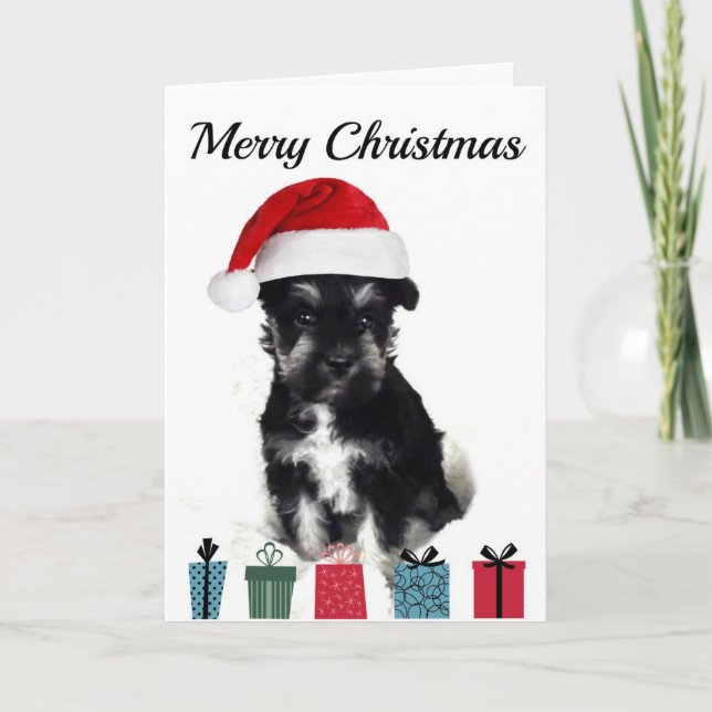 Carte de Noël de Schnauzer (Devant)