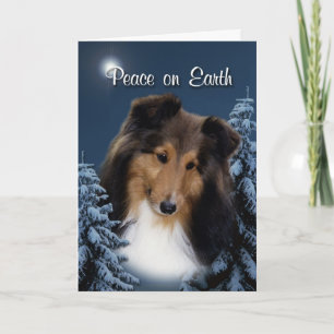 Carte de Noël de Sheltie de paix