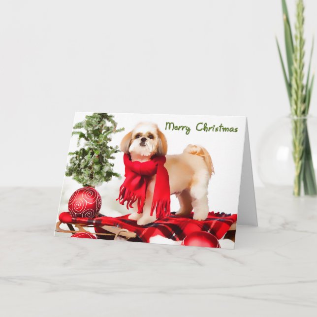 Carte de Noël de Shih Tzu (manteau coupé) (Devant)