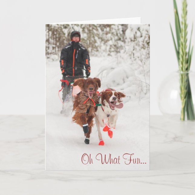 Carte de Noël de Sleddog de poseur irlandais (Devant)