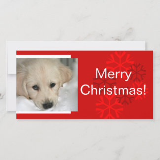Carte de Noël de votre chien Photo Snowflake