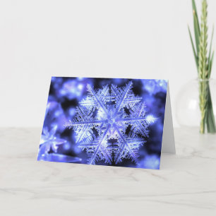 Carte de Noël de Winterborn