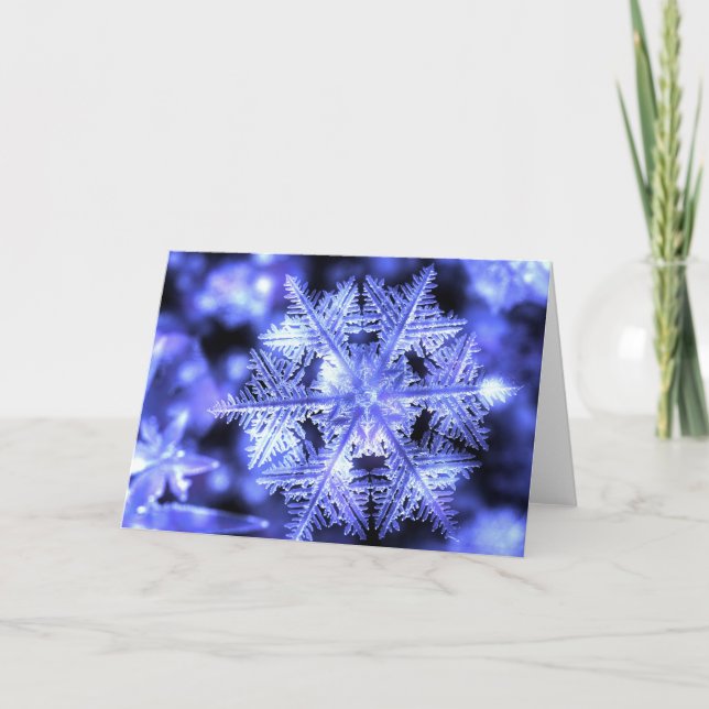 Carte de Noël de Winterborn (Devant)