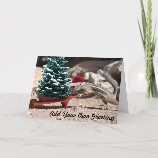 Carte de Noël d'Elf d'écureuil de Père Noël (Devant)