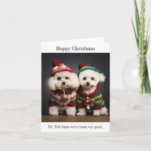 Carte de Noël des chiens Bichon Frise