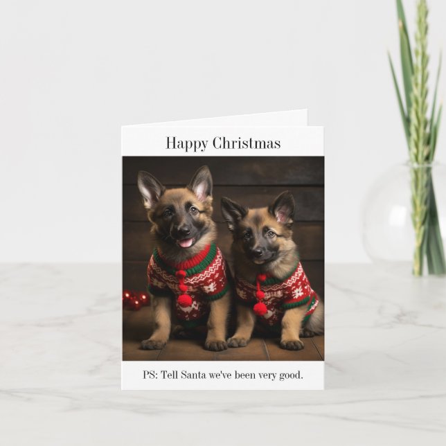 Carte de Noël des Chiens de Berger belges (Devant)