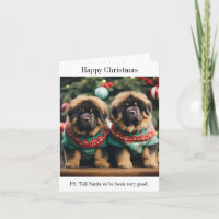 Carte de Noël des chiots tibétains mastiff
