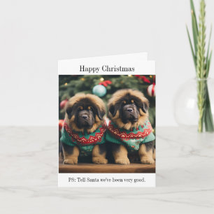 Carte de Noël des chiots tibétains mastiff