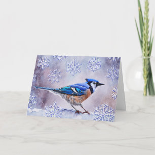 Carte de Noël d'hiver Blue Jay Bird