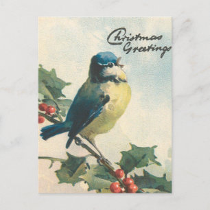 Carte de Noël d'hiver des oiseaux à illustration v