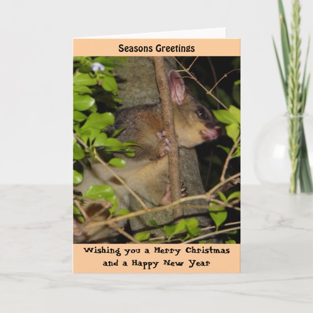 Carte de Noël d'opossum de Brushtail (Devant)
