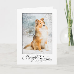 Carte de Noël douce Sheltie