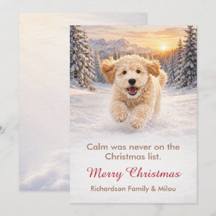 Carte de Noël drôle avec chien   Famille de chiots