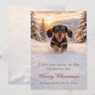 Carte de Noël drôle avec chien   Famille de chiots
