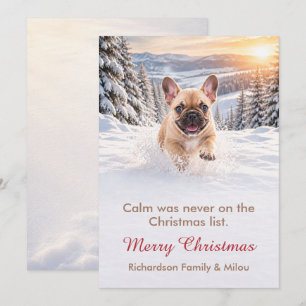 Carte de Noël drôle avec chien   Famille de chiots
