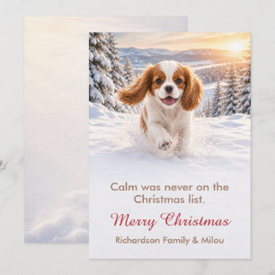 Carte de Noël drôle avec chien   Famille de chiots
