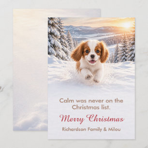 Carte de Noël drôle avec chien   Famille de chiots