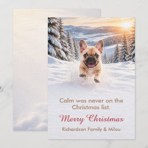 Carte de Noël drôle avec chien   Famille de chiots
