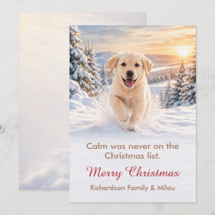 Carte de Noël drôle avec chien   Famille de chiots